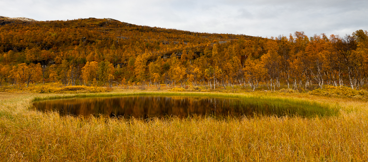 Jaak Sarv autumn bog canon europe forest järv lake landscape lapimaa lapland loodus maastik mets montains mäed nature norra norway raba scandinavia sügis wildlife