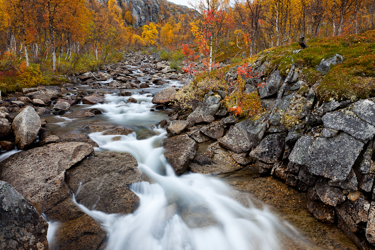 Jaak Sarv autumn canon europe forest jõgi landscape lapimaa lapland loodus maastik mets montains mäed nature norra norway river scandinavia sügis wildlife