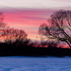 Päikeseloojang talvisel luhal / Winter Sunset on the Meadow
