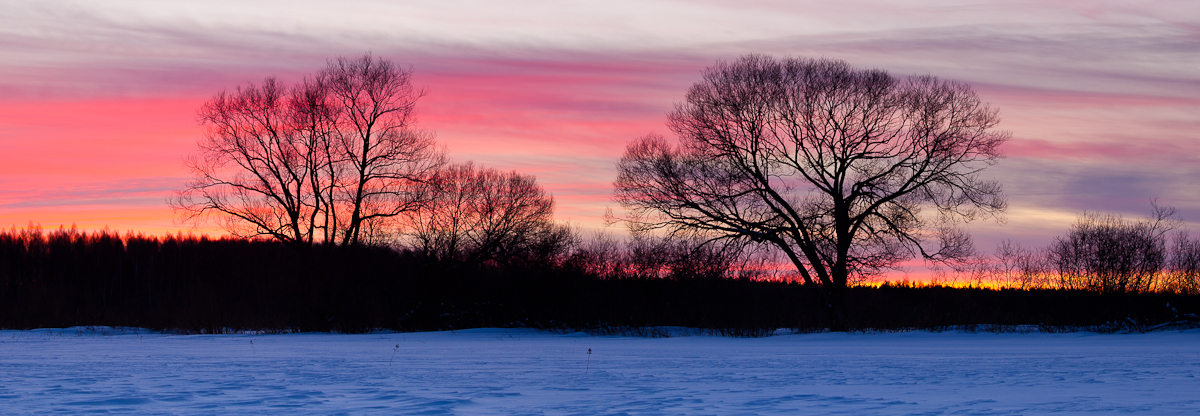 Jaak Sarv canon eesti estonia europe evening landscape loodus lumi maastik nature päikeseloojang snow sunset wildlife winter õhtu