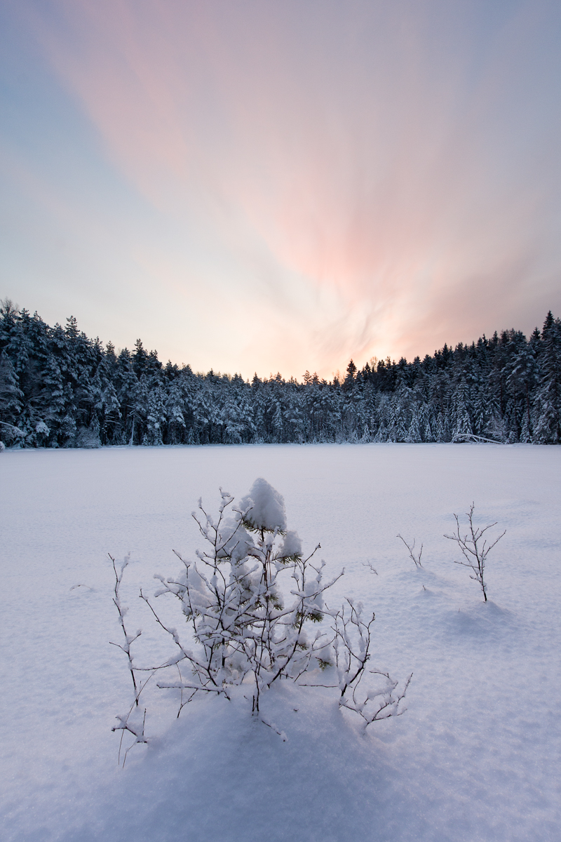 Jaak Sarv canon eesti estonia europe forest järv lake landscape loodus lumi maastik mets nature päikesetõus snow sunrise talv wildlife winter