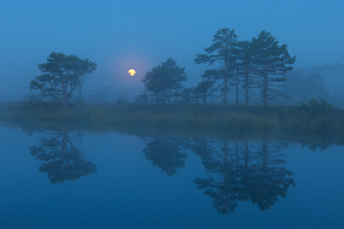 Jaak Sarv bog canon eesti estonia europe hommik kuu kuuloojang landscape loodus maastik moon moonset morning nature raba