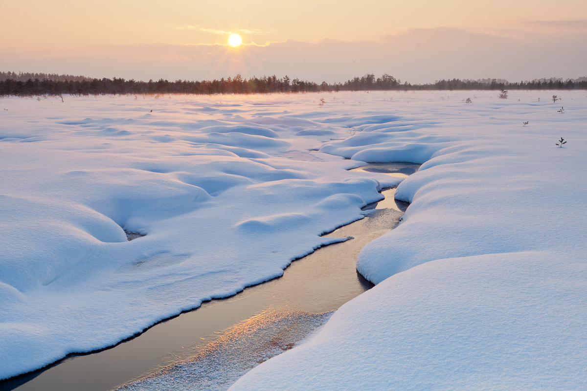 Jaak Sarv bog canon eesti estonia europe evening landscape loodus lumi maastik nature photography päikeseloojang raba snow sunset talv wildlife winter õhtu